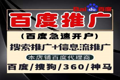 成功案例：SEM代运营服务公司助力企业腾飞
